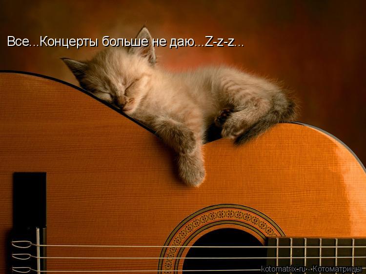 Все...Концерты больше не даю...Z-z-z...... Котоматрица: Все...Концерты больше не даю...Z-z-z...