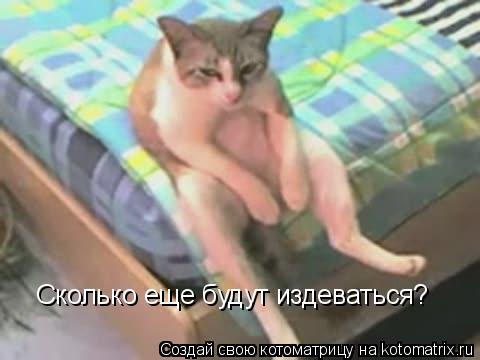 Сколько еще будут издеваться?... Котоматрица: Сколько еще будут издеваться?