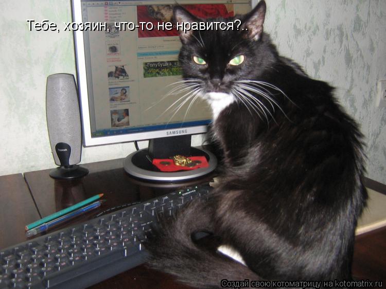 Тебе, хозяин, что-то не нравится?..... Котоматрица: Тебе, хозяин, что-то не нравится?..