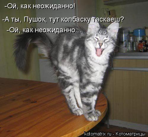 -Ой, как неожиданно! -А ты, Пушок, тут колбаску таскаеш? -Ой, как неожиданно...... Котоматрица: -Ой, как неожиданно! -А ты, Пушок, тут колбаску таскаеш? -Ой, как неожиданно...