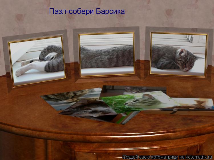Пазл-собери Барсика... Котоматрица: Пазл-собери Барсика