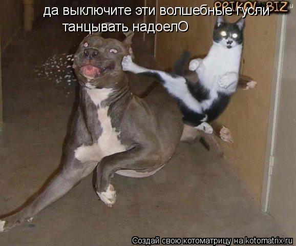 да выключите эти волшебные гусли танцывать надоелО... Котоматрица: да выключите эти волшебные гусли танцывать надоелО