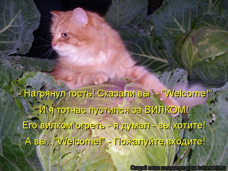- Нагрянул гость! Сказали вы - "Welcome!" И я тотчас пустился за ВИЛКОМ! Его вилком огреть - я думал... Котоматрица: - Нагрянул гость! Сказали вы - "Welcome!" И я тотчас пустился за ВИЛКОМ! Его вилком огреть - я думал - вы хотите! А вы..."Welcome!" - Пожалуйте,входи