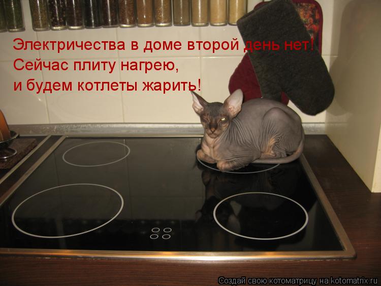 Электричества в доме второй день нет! Сейчас плиту нагрею, и будем котлеты жарить!... Котоматрица: Электричества в доме второй день нет! Сейчас плиту нагрею, и будем котлеты жарить!