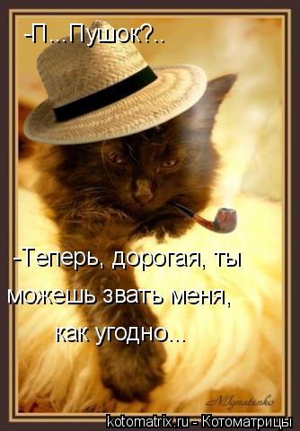 -П...Пушок?.. -Теперь, дорогая, ты можешь звать меня, как угодно...... Котоматрица: -П...Пушок?.. -Теперь, дорогая, ты можешь звать меня, как угодно...