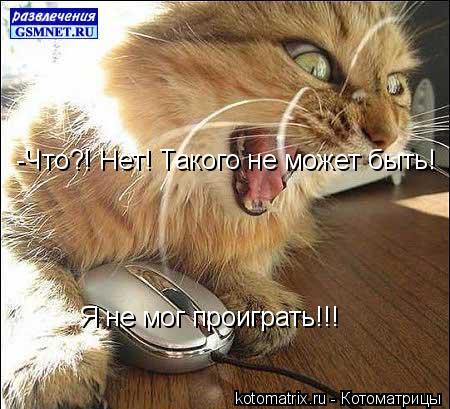 -Что?! Нет! Такого не может быть! Я не мог проиграть!!!... Котоматрица: -Что?! Нет! Такого не может быть! Я не мог проиграть!!!