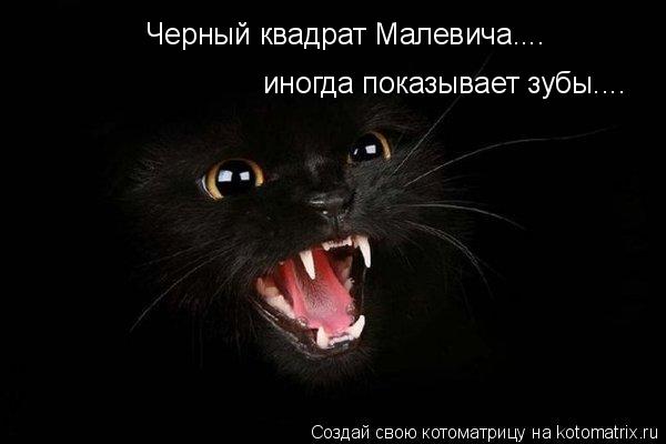 Черный квадрат Малевича.... иногда показывает зубы....... Котоматрица: Черный квадрат Малевича.... иногда показывает зубы....