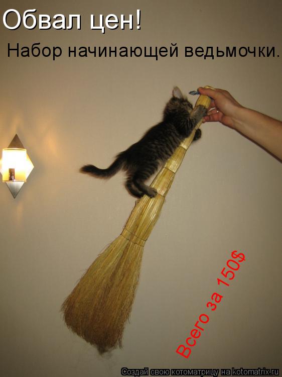 Обвал цен! Набор начинающей ведьмочки. Всего за 150$... Котоматрица: Обвал цен! Набор начинающей ведьмочки. Всего за 150$