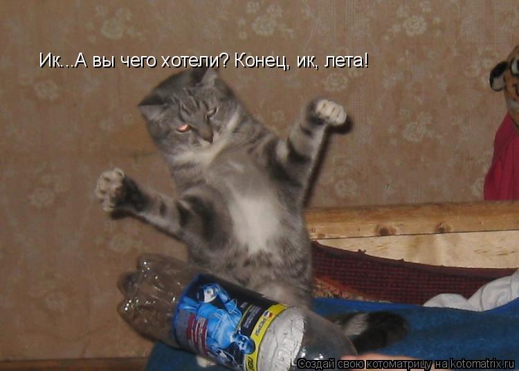 Ик...А вы чего хотели? Конец, ик, лета!... Котоматрица: Ик...А вы чего хотели? Конец, ик, лета!