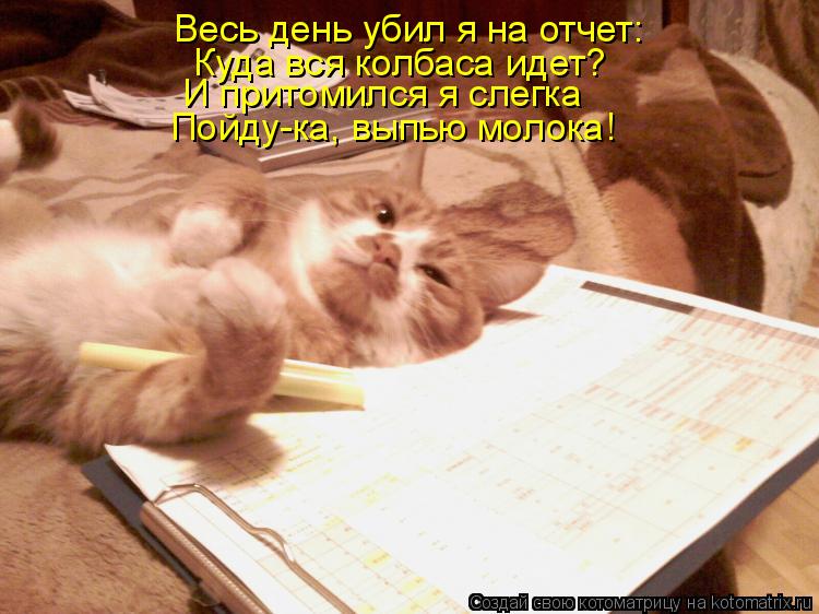 Весь день убил я на отчет: Куда вся колбаса идет? И притомился я слегка Пойду-ка, выпью молока!... Котоматрица: Весь день убил я на отчет: Куда вся колбаса идет? И притомился я слегка Пойду-ка, выпью молока!