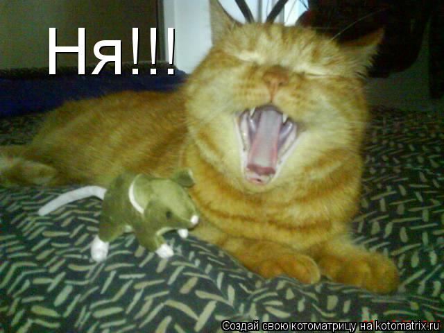 Ня!!!... Котоматрица: Ня!!!