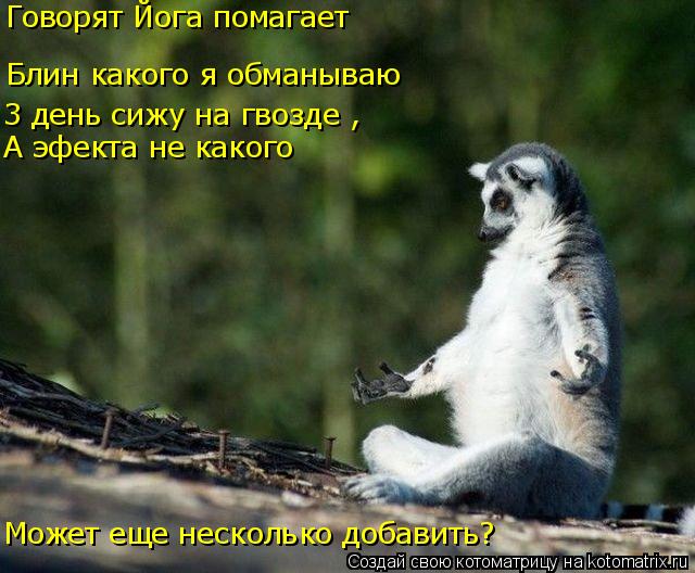 Может еще несколько добавить? Говорят Йога помагает Блин какого я обманываю 3 день сижу на гвозде ,... Котоматрица: Может еще несколько добавить? Говорят Йога помагает Блин какого я обманываю 3 день сижу на гвозде , А эфекта не какого