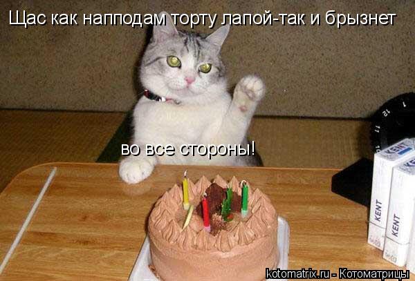 Щас как напподам торту лапой-так и брызнет во все стороны!... Котоматрица: Щас как напподам торту лапой-так и брызнет во все стороны!