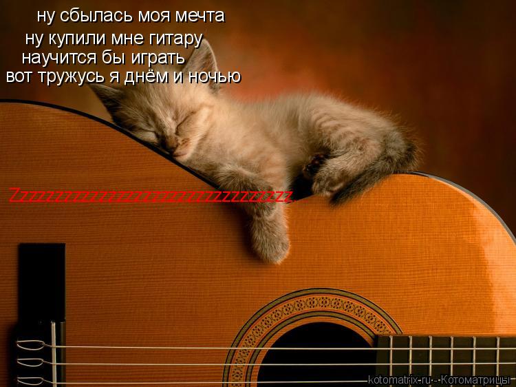 ну сбылась моя мечта ну купили мне гитару научится бы играть вот тружусь я днём и ночью Zzzzzzzzzzzz... Котоматрица: ну сбылась моя мечта ну купили мне гитару научится бы играть вот тружусь я днём и ночью Zzzzzzzzzzzzzzzzzzzzzzzzzzzzzzzz...