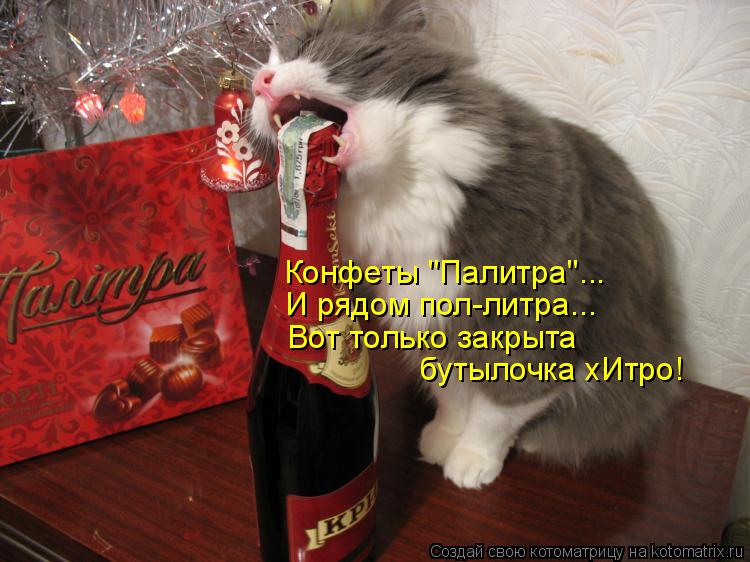 Котоматрица: Конфеты "Палитра"... И рядом пол-литра... Вот только закрыта бутылочка хИтро!