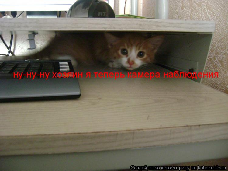 ну-ну-ну хозяин я теперь камера наблюдения... Котоматрица: ну-ну-ну хозяин я теперь камера наблюдения