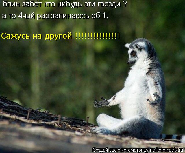 блин забёт кто нибудь эти гвозди ? а то 4-ый раз запинаюсь об 1 , Сажусь на другой !!!!!!!!!!!!!!!... Котоматрица: блин забёт кто нибудь эти гвозди ? а то 4-ый раз запинаюсь об 1 , Сажусь на другой !!!!!!!!!!!!!!!