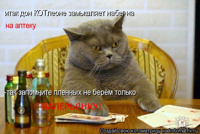 итак дон КОТлеоне замышляет набег на на аптеку -так запомните пленных не берём только ВАЛЕРЬЯНКУ!... Котоматрица: итак дон КОТлеоне замышляет набег на на аптеку -так запомните пленных не берём только ВАЛЕРЬЯНКУ!