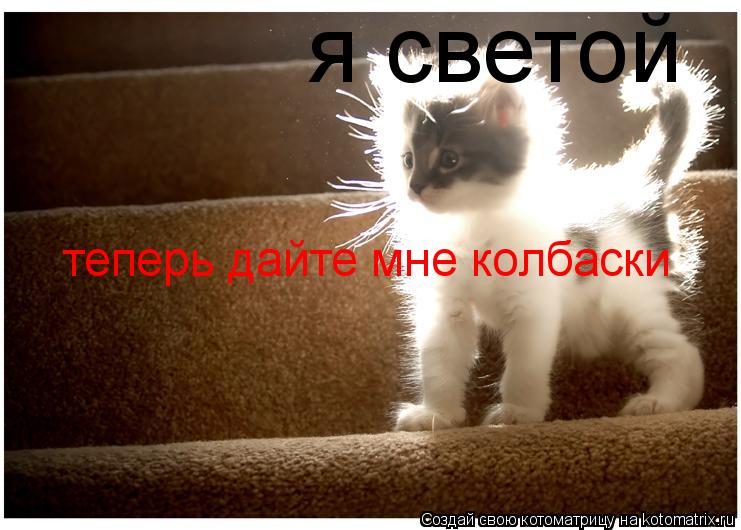 я светой теперь дайте мне колбаски... Котоматрица: я светой теперь дайте мне колбаски