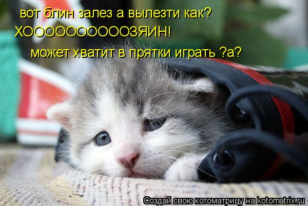вот блин залез а вылезти как? ХООООООООООЗЯИН! может хватит в прятки играть ?а?... Котоматрица: вот блин залез а вылезти как? ХООООООООООЗЯИН! может хватит в прятки играть ?а?