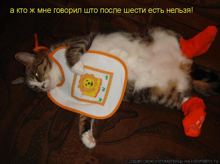 а кто ж мне говорил што после шести есть нельзя!... Котоматрица: а кто ж мне говорил што после шести есть нельзя!