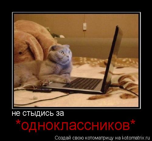 не стыдись за *одноклассников*... Котоматрица: не стыдись за *одноклассников*