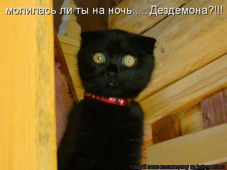 молилась ли ты на ночь..... Дездемона?!!!... Котоматрица: молилась ли ты на ночь..... Дездемона?!!!