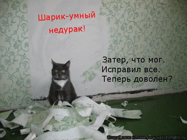 Шарик-умный недурак! Затер, что мог. Исправил все. Теперь доволен?... Котоматрица: Шарик-умный недурак! Затер, что мог. Исправил все. Теперь доволен?