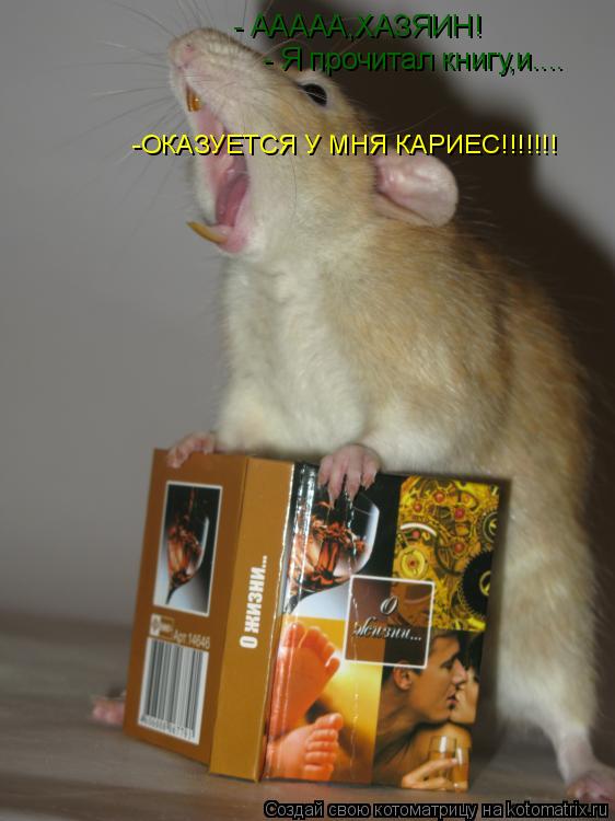 - ААААА,ХАЗЯИН! - Я прочитал книгу,и.... -ОКАЗУЕТСЯ У МНЯ КАРИЕС!!!!!!!... Котоматрица: - ААААА,ХАЗЯИН! - Я прочитал книгу,и.... -ОКАЗУЕТСЯ У МНЯ КАРИЕС!!!!!!!