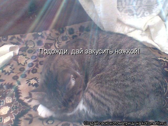 Подожди, дай закусить ножкой!... Котоматрица: Подожди, дай закусить ножкой!
