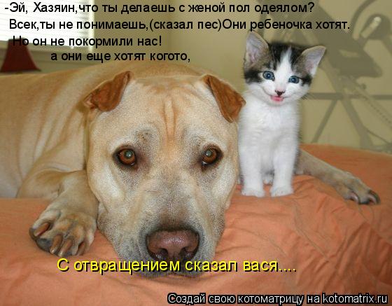 -Эй, Хазяин,что ты делаешь с женой пол одеялом? Всек,ты не понимаешь,(сказал пес)Они ребеночка хотят.... Котоматрица: -Эй, Хазяин,что ты делаешь с женой пол одеялом? Всек,ты не понимаешь,(сказал пес)Они ребеночка хотят. Но он не покормили нас! а они еще хотят ко