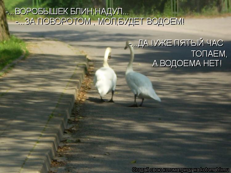 -...ВОРОБЫШЕК БЛИН,НАДУЛ... -...ЗА ПОВОРОТОМ , МОЛ,БУДЕТ ВОДОЕМ! -...ДА !УЖЕ ПЯТЫЙ ЧАС ТОПАЕМ, А ВОД... Котоматрица: -...ВОРОБЫШЕК БЛИН,НАДУЛ... -...ЗА ПОВОРОТОМ , МОЛ,БУДЕТ ВОДОЕМ! -...ДА !УЖЕ ПЯТЫЙ ЧАС ТОПАЕМ, А ВОДОЕМА НЕТ!