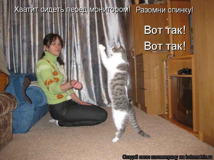 Хватит сидеть перед монитором! Разомни спинку! Вот так! Вот так!... Котоматрица: Хватит сидеть перед монитором! Разомни спинку! Вот так! Вот так!