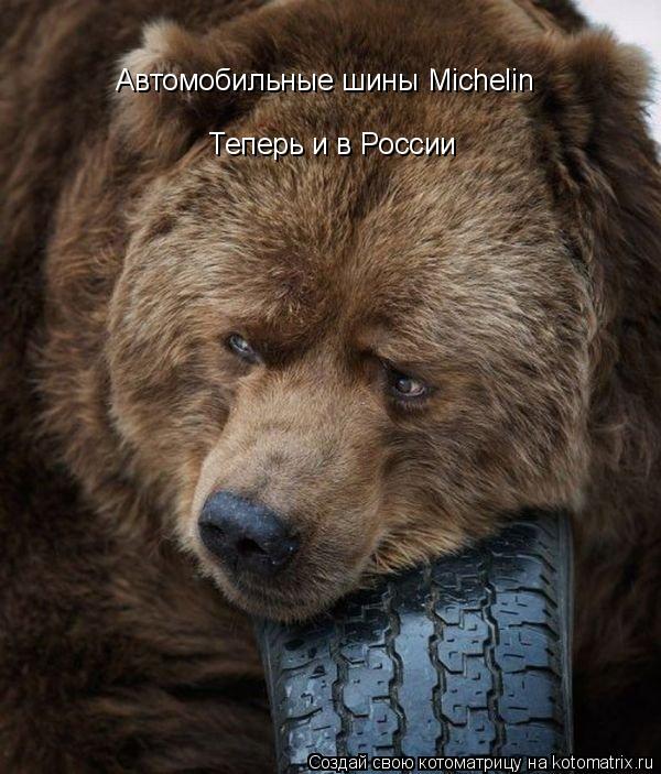 Автомобильные шины Michelin Теперь и в России... Котоматрица: Автомобильные шины Michelin Теперь и в России