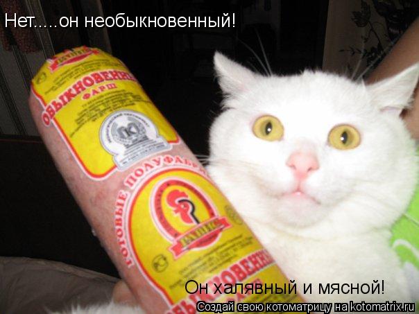 Котоматрица: Нет.....он необыкновенный! Он халявный и мясной!