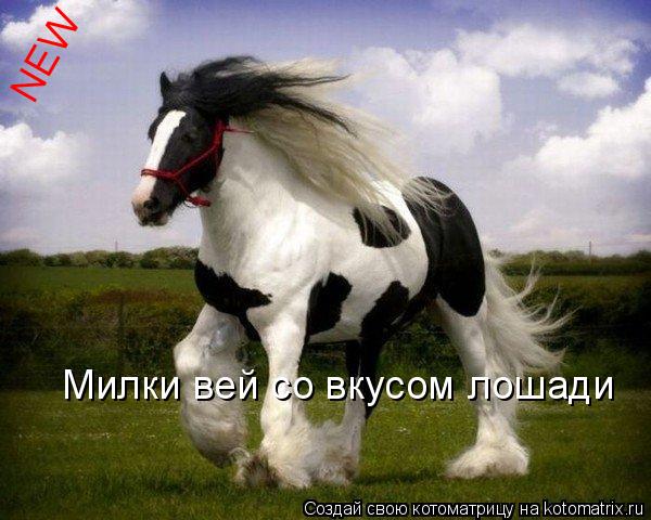Котоматрица: Милки вей со вкусом лошади NEW NEW