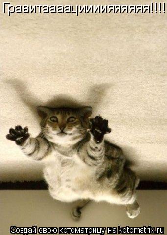 Котоматрица: Гравитаааациииияяяяяя!!!!!!!