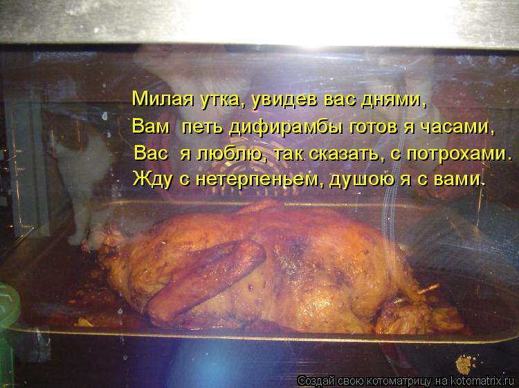 Вас я люблю, так сказать, с потрохами. Жду с нетерпеньем, душою я с вами. Вам петь дифирамбы готов ... Котоматрица: Вас я люблю, так сказать, с потрохами. Жду с нетерпеньем, душою я с вами. Вам петь дифирамбы готов я часами, Милая утка, увидев вас днями,