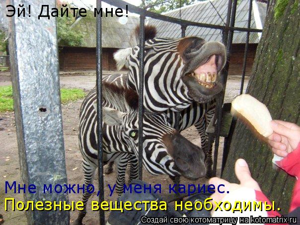 Котоматрица: Эй! Дайте мне!  Мне можно, у меня кариес. Полезные вещества необходимы.