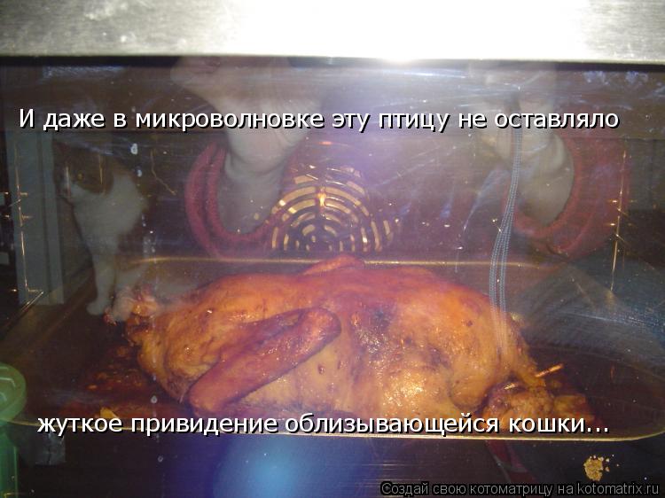 Котоматрица: жуткое привидение облизывающейся кошки... И даже в микроволновке эту птицу не оставляло