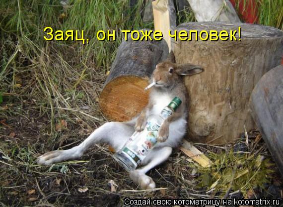 Котоматрица: Заяц, он тоже человек!