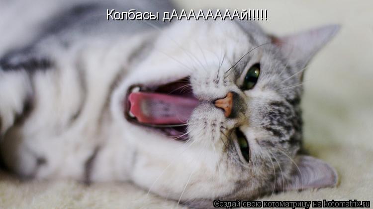 Котоматрица: Колбасы дААААААААй!!!!!