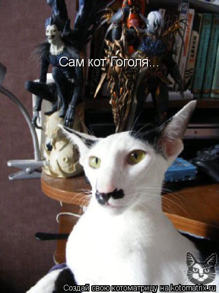 Котоматрица: Сам кот Гоголя...