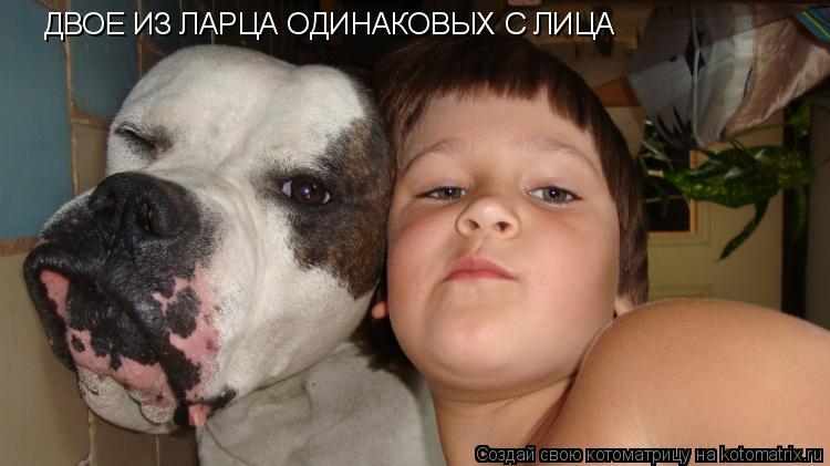 Котоматрица: ДВОЕ ИЗ ЛАРЦА ОДИНАКОВЫХ С ЛИЦА