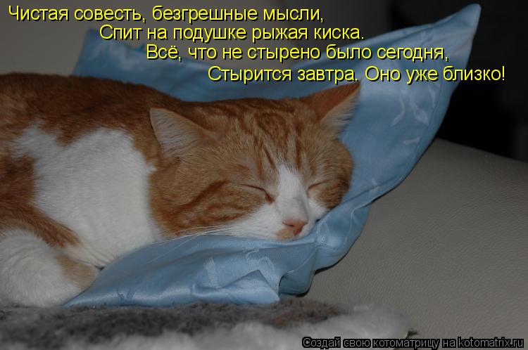 Чистая совесть, безгрешные мысли, Стырится завтра. Оно уже близко! Спит на подушке рыжая киска. Всё, ... Котоматрица: Чистая совесть, безгрешные мысли, Стырится завтра. Оно уже близко! Спит на подушке рыжая киска. Всё, что не стырено было сегодня,