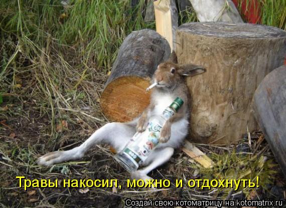 Котоматрица: Травы накосил, можно и отдохнуть!