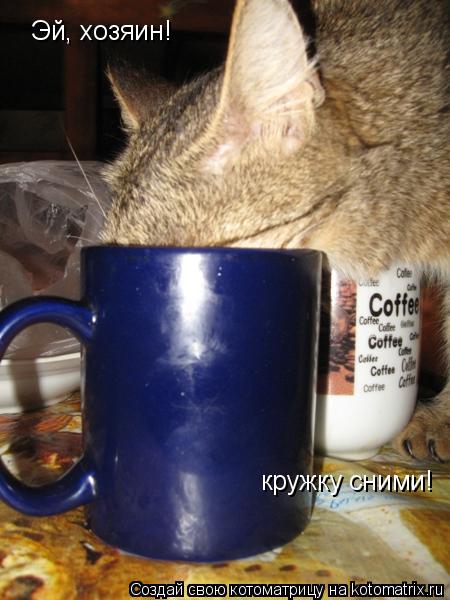 Котоматрица: Эй, хозяин! кружку сними!