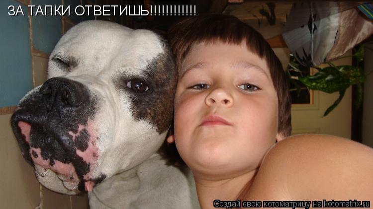 Котоматрица: ЗА ТАПКИ ОТВЕТИШЬ!!!!!!!!!!!!