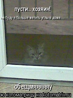 Котоматрица: пусти.. хозяин! не буду я больше метить углы в доме.... обещмяяяяяу