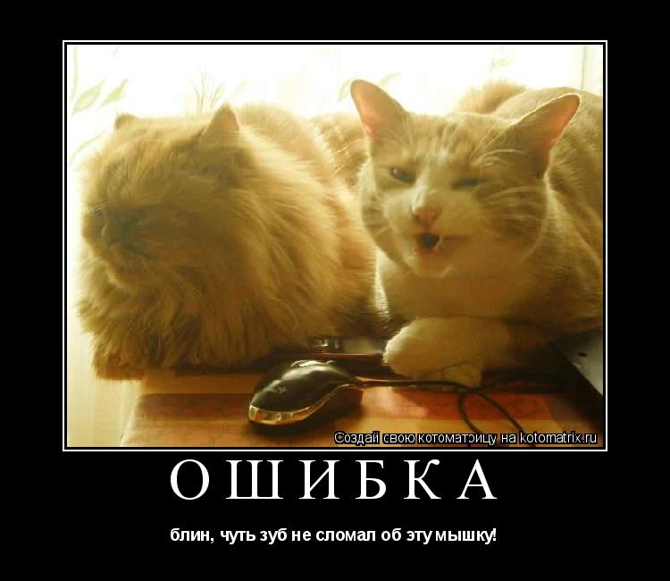 ошибка блин, чуть зуб не сломал об эту мышку!... Котоматрица: ошибка блин, чуть зуб не сломал об эту мышку!